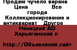 Продам чучело варана. › Цена ­ 15 000 - Все города Коллекционирование и антиквариат » Другое   . Ненецкий АО,Харьягинский п.